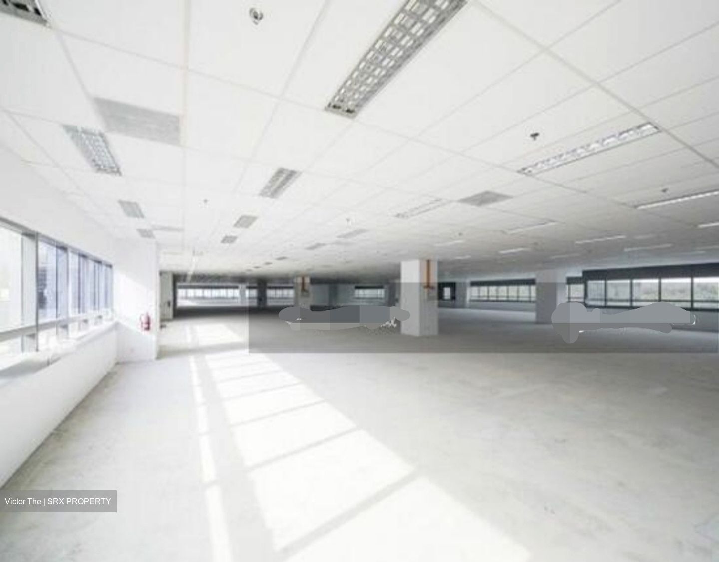 Techpoint (D20), Factory #452188271